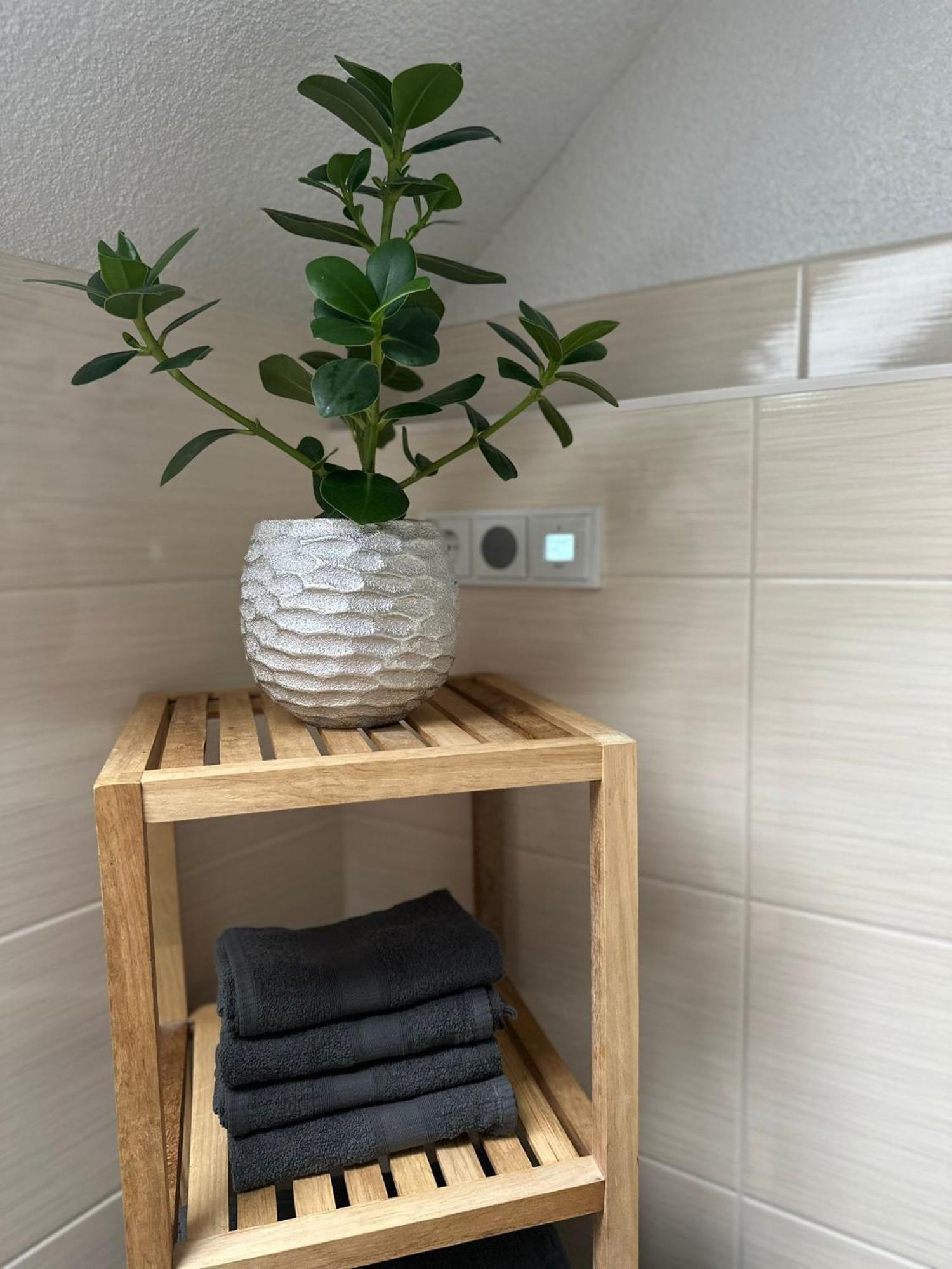 באד אלסטר Ferienwohnung Parkblick מראה חיצוני תמונה